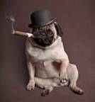 Portrait de 1e-cigarette